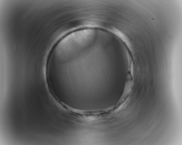X0000088421334200706051205