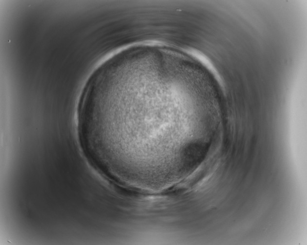 X0000088421335200706051205