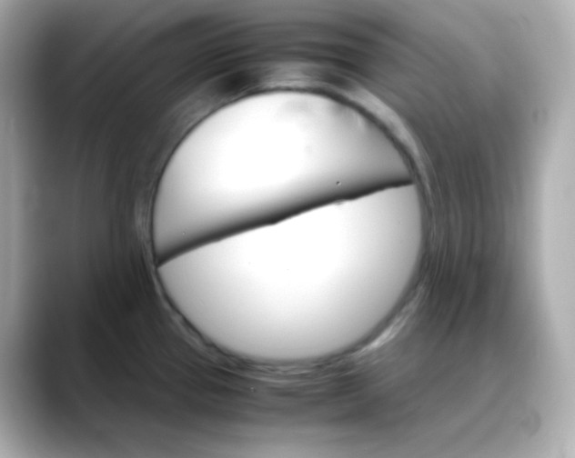 X0000088421337200706051205