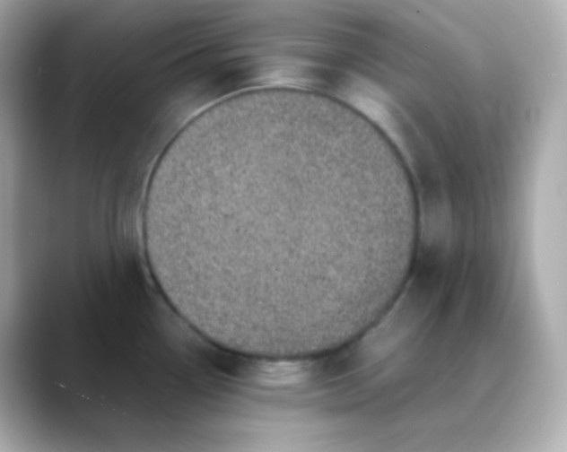 X0000088421338200706051205