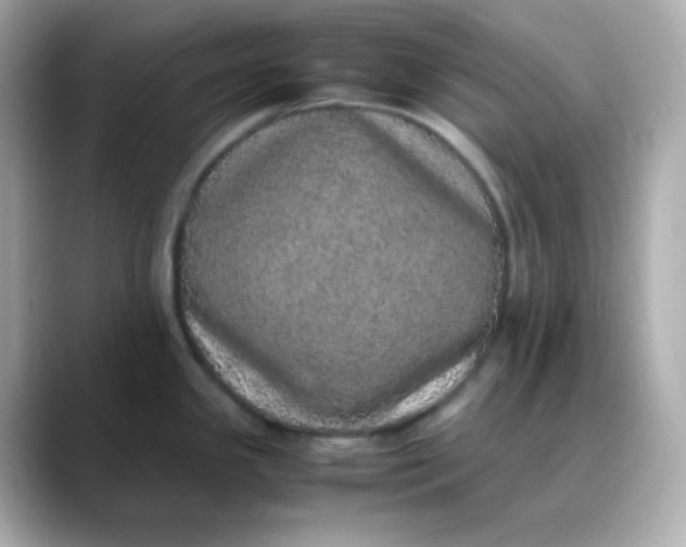 X0000088421341200706051205