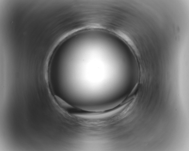 X0000088421342200706051205