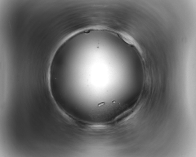 X0000088421343200706051205