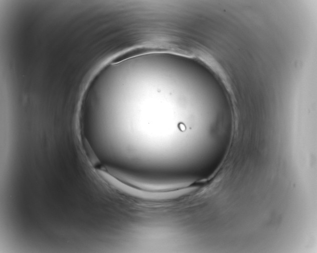 X0000088421344200706051205