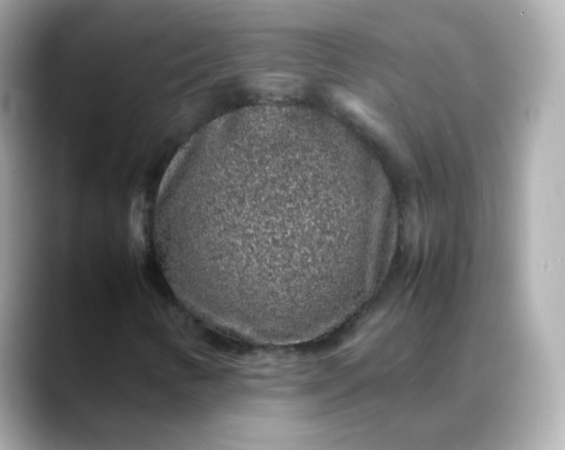 X0000088421346200706051204