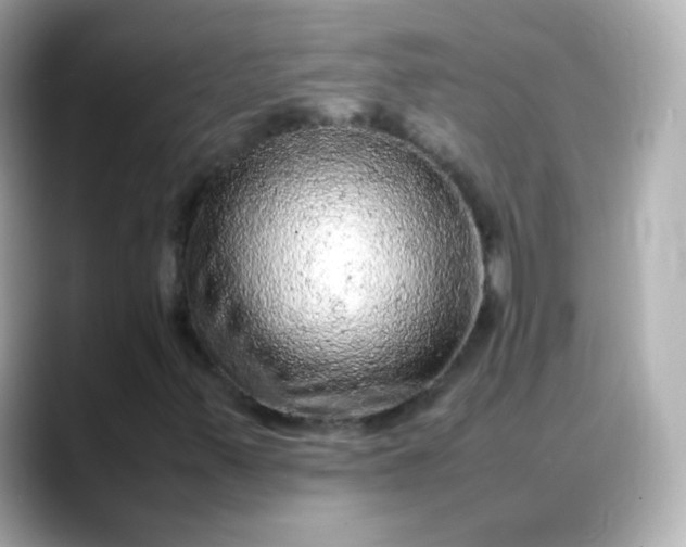 X0000088421347200706051204