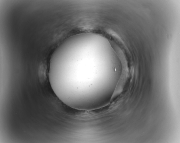 X0000088421348200706051204