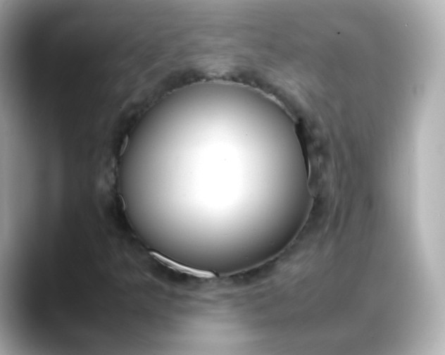 X0000088421349200706051204