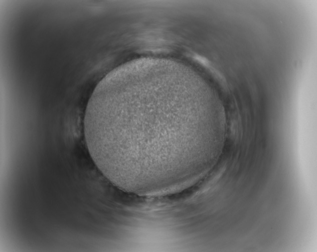 X0000088421350200706051204