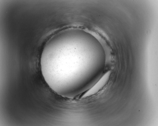 X0000088421352200706051204