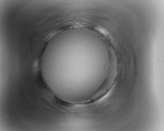 X0000088421353200706051204