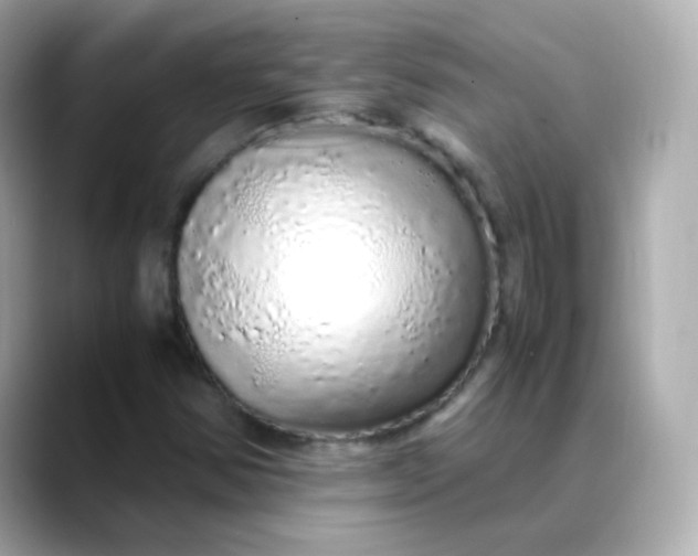 X0000088421354200706051204