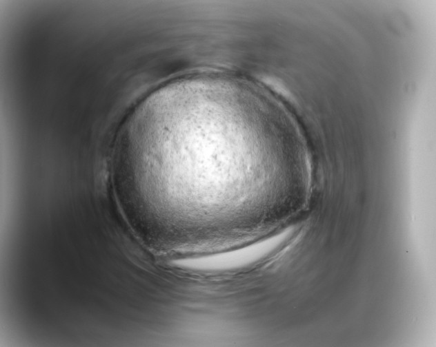 X0000088421355200706051204