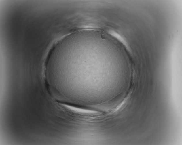 X0000088421357200706051204