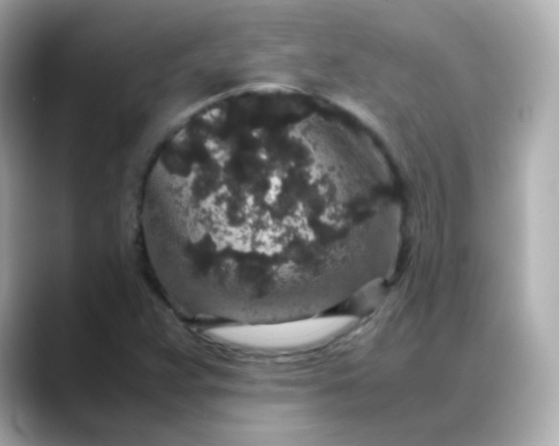 X0000088421359200706051204