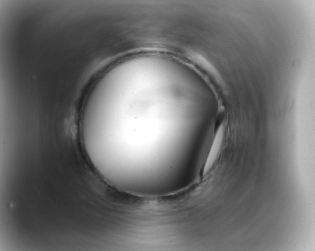 X0000088421360200706051204