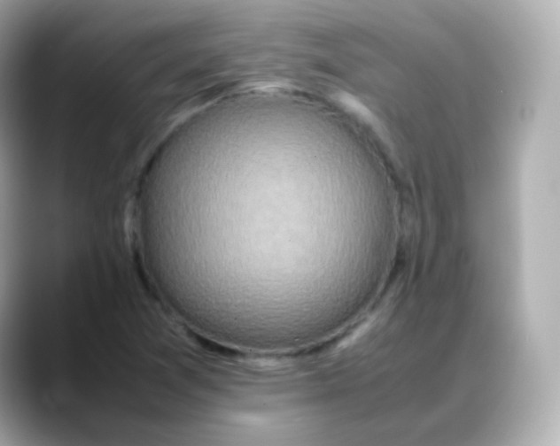 X0000088421361200706051204