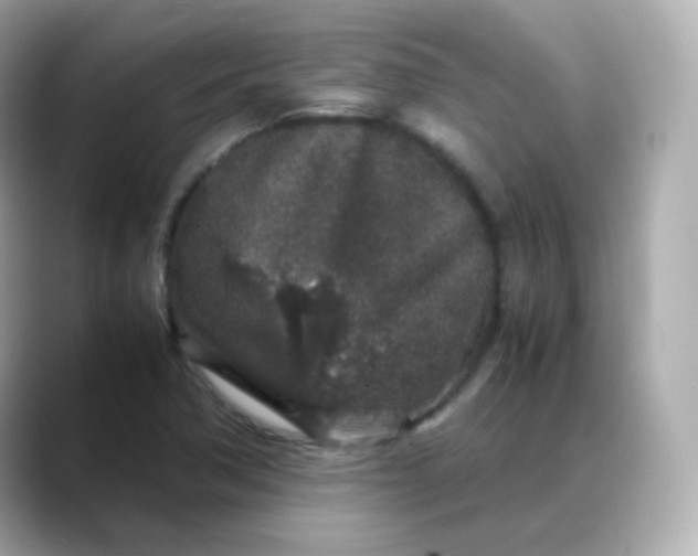 X0000088421362200706051204