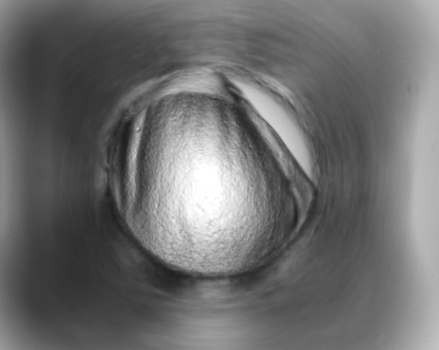 X0000088421363200706051204
