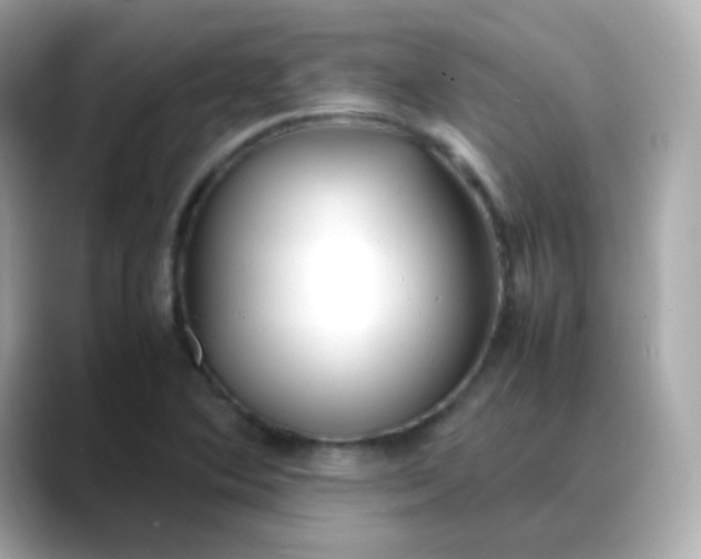 X0000088421364200706051204