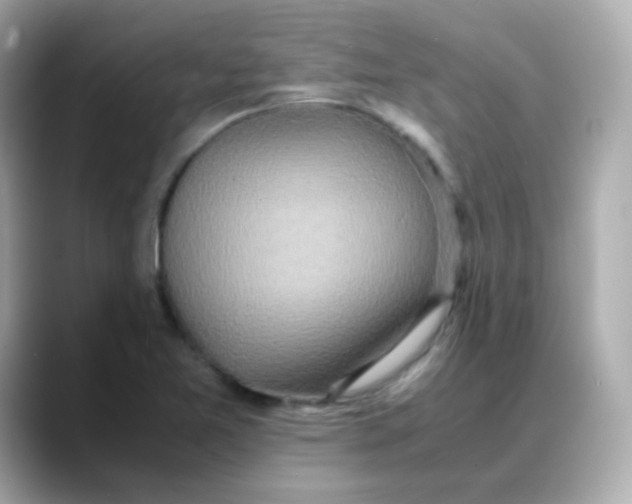 X0000088421365200706051204