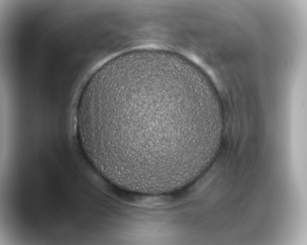 X0000088421367200706051204