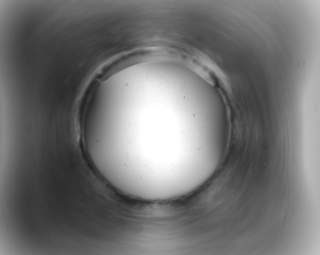 X0000088421368200706051204