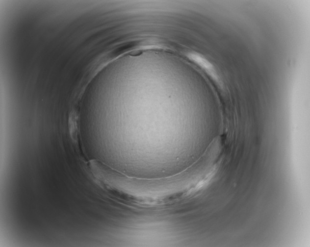 X0000088421369200706051204