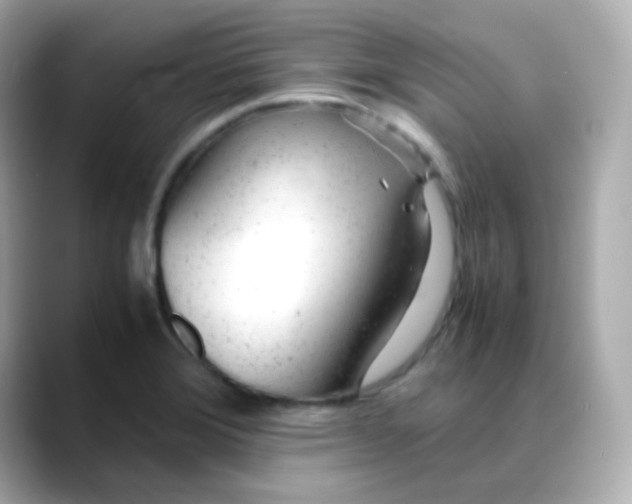 X0000088421372200706051204