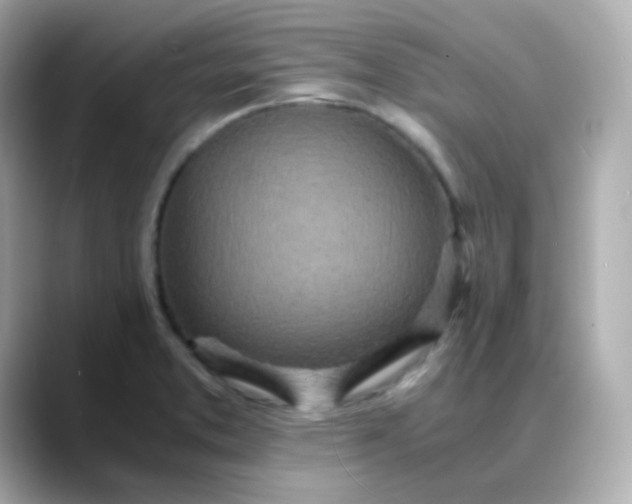 X0000088421373200706051204