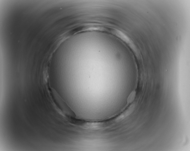 X0000088421377200706051204