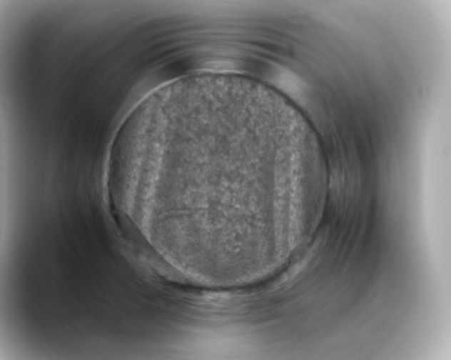 X0000088421378200706051204