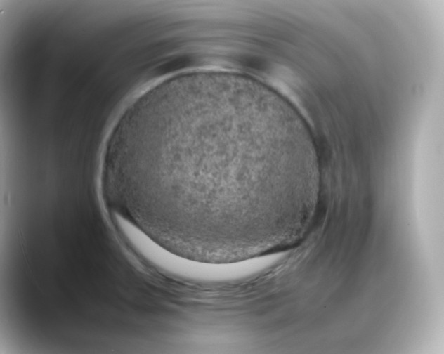 X0000088421379200706051204