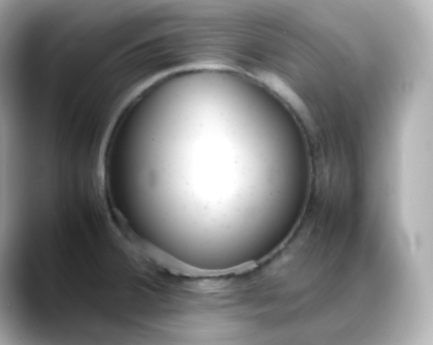 X0000088421380200706051204