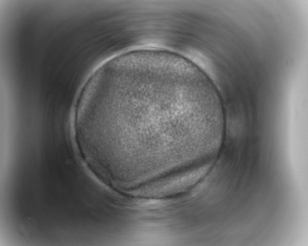 X0000088421382200706051204