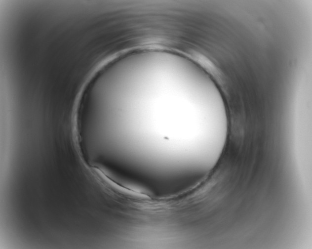 X0000088421384200706051204