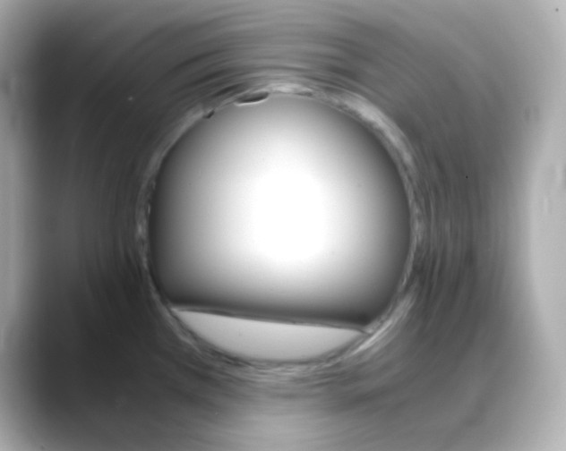X0000088421385200706051204