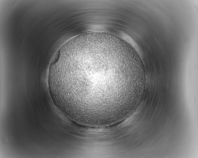 X0000088421386200706051204