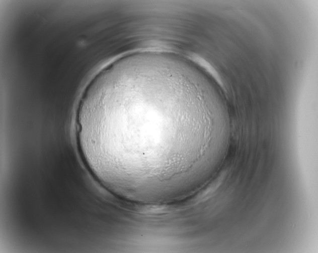 X0000088421387200706051204