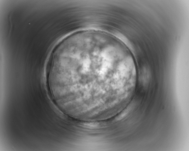 X0000088421388200706051204