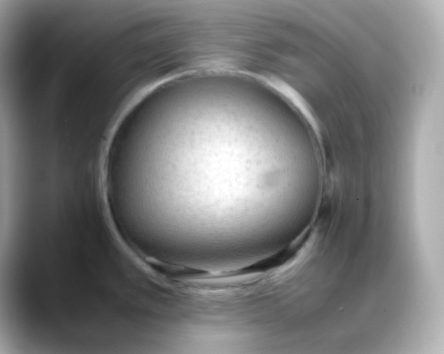 X0000088421389200706051204