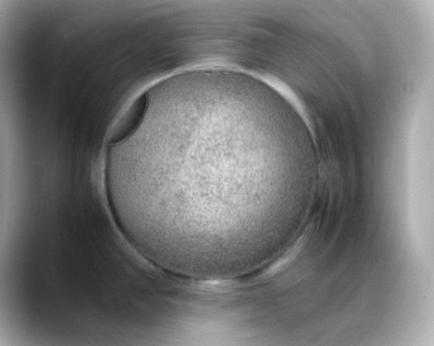 X0000088421390200706051204