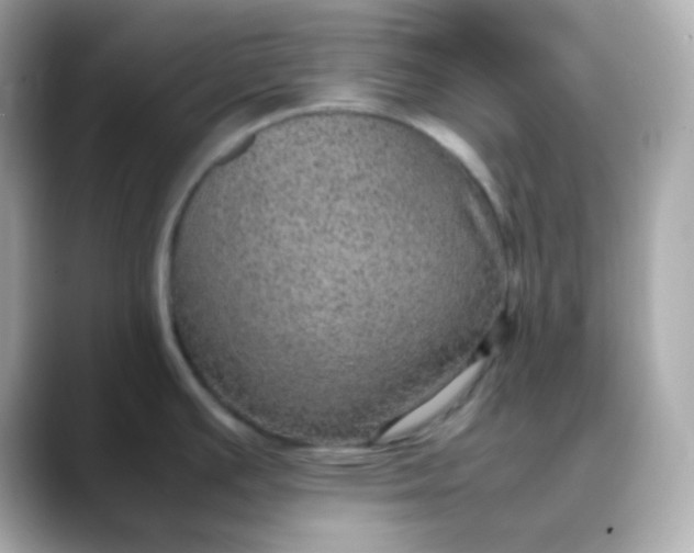 X0000088421391200706051204