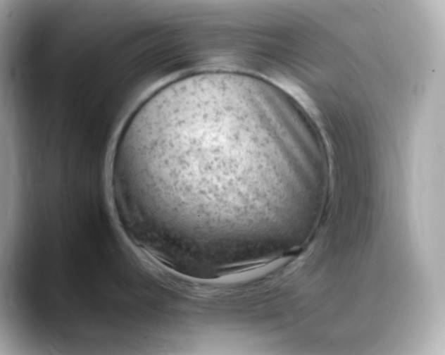 X0000088421392200706051204
