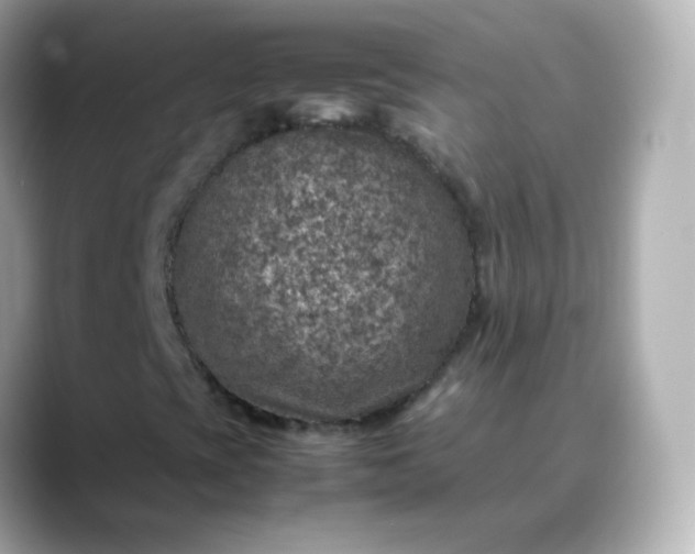 X0000088421393200706051203