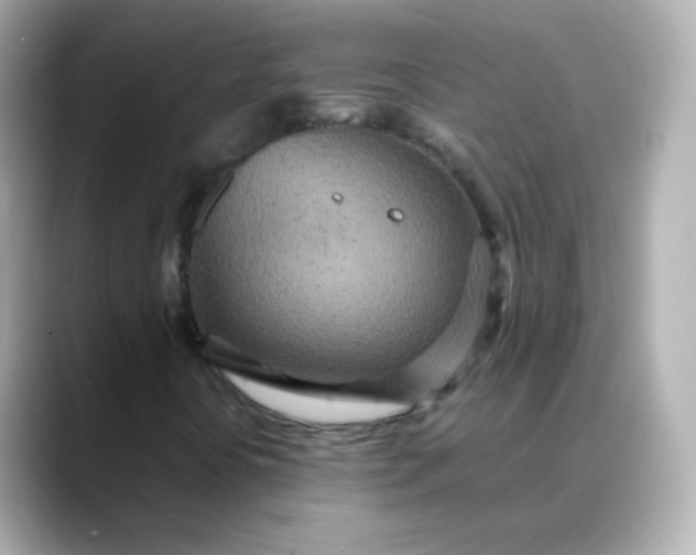X0000088421394200706051203