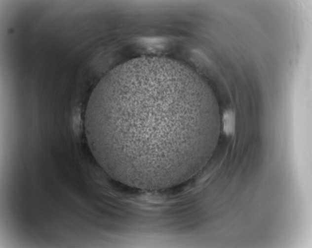 X0000088421395200706051203