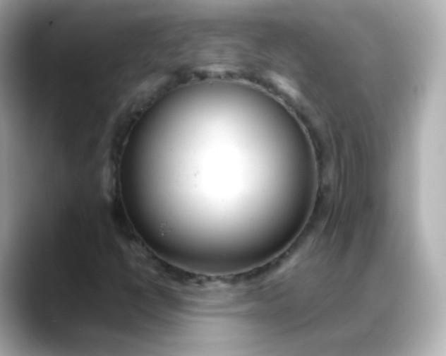X0000088421398200706051203