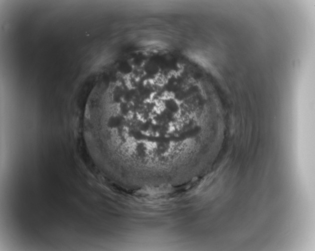 X0000088421399200706051203