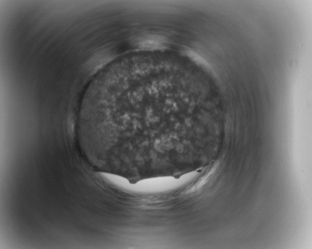 X0000088421401200706051203